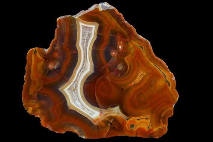 Beautiful Condor Agate From Argentina - Cut/Polished Face #79493
